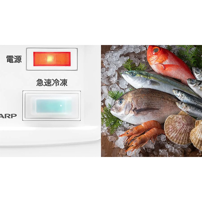 冷凍庫 標準設置込み シャープ 冷凍ストッカー 直冷式 上開き 322L 大