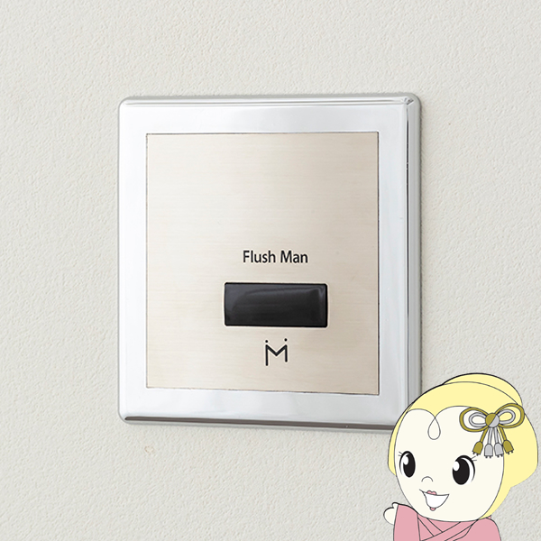 ぎおんミナミサワ FM8TWP 壁埋め込み小便器改装用 フラッシュマンリカバリー2 洗浄管の無いライニングユニット TEA95P 96P用 最大64％オフ！
