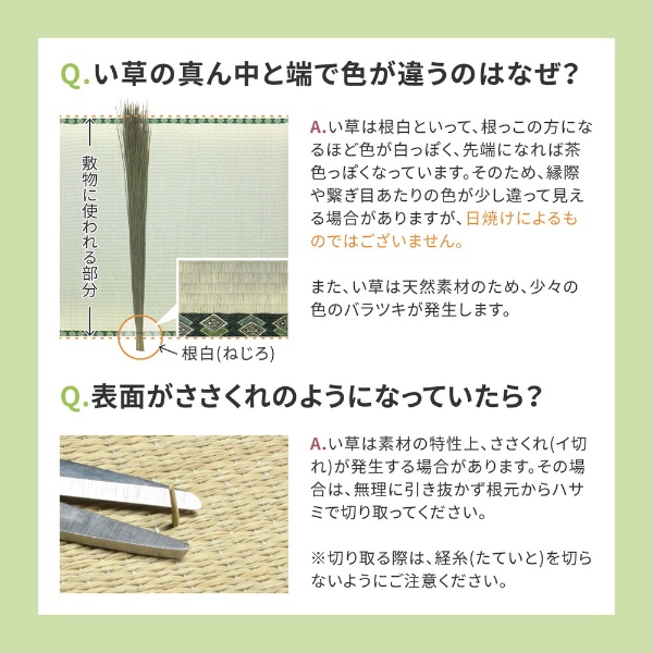 萩原 い草 上敷き カーペット グリーン 江戸間8畳 352×352cm 双目織 撥水加工 備前｜gion｜10