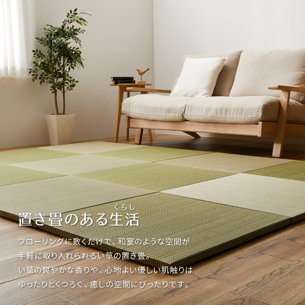 HAGiHARA（萩原） ユニット畳 同色9枚セット 約65×65cm 置き畳 い草 