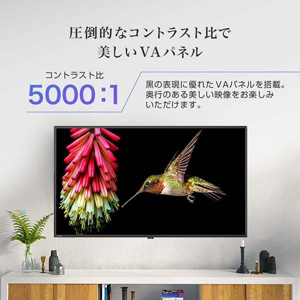MAXZEN（マクスゼン） 液晶テレビ 50V型 フルハイビジョン 50インチ 50
