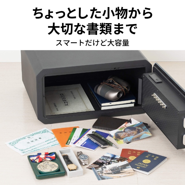 金庫 セントリー日本 Sentry 指紋認証/テンキー式 約31L 約14.5kg A4