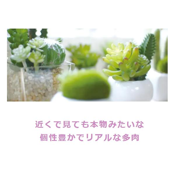 キシマ Succulent Refrerium サキュレントリフレリウム 消臭アーティフィシャルグリーン KH-60988｜gion｜02
