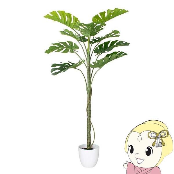リピート多数  【MEUAVDTG7A6】 限定デザイン