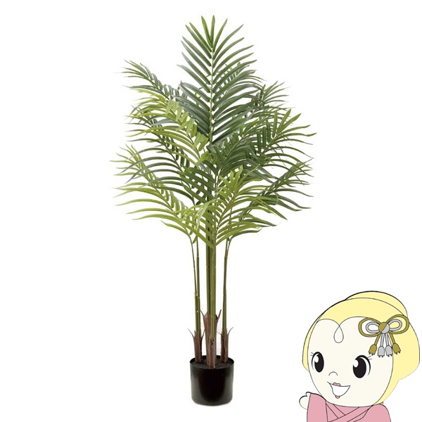 観葉植物 大型 フェイクグリーン 組立式 CT触媒 アーティフィシャルグリーン アレカパーム アレカヤシ キシマ KH-61394
