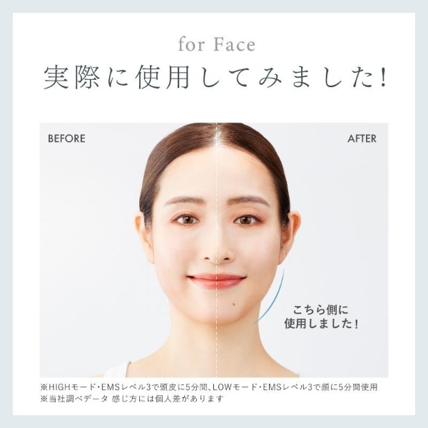 NIPLUX 電気ブラシ EMS美顔器 NIPLUX EMS LIFT BRUSH emsリフトブラシ