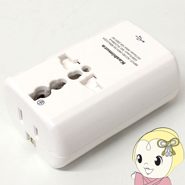 �J�V���� TI-165 NTI-165 �C�O���s�p 2���d���v���O A/C/O/SE/BF�^�C�v USB2.1A