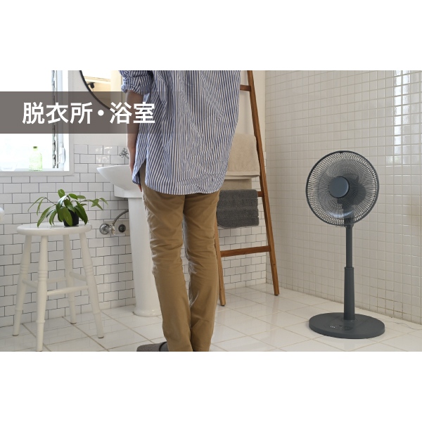 山善 扇風機 DCモーター リビング扇風機 7枚羽根 30cm USB Type