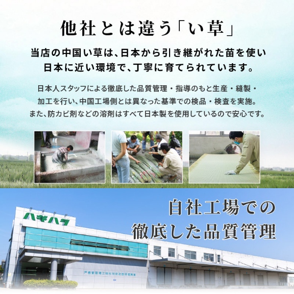 収納式 小上がり畳 60×60cm 高さ25cm 畳付き収納スツール 正方形 畳スツール ベンチ 畳ベッド 収納スツール 収納ボックス い草 萩原 ブラック | HAGiHARA | 12