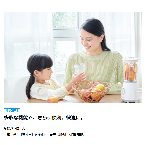 ダイキン（DAIKIN） エアコン 工事込 ルームエアコン Eシリーズ 6畳用
