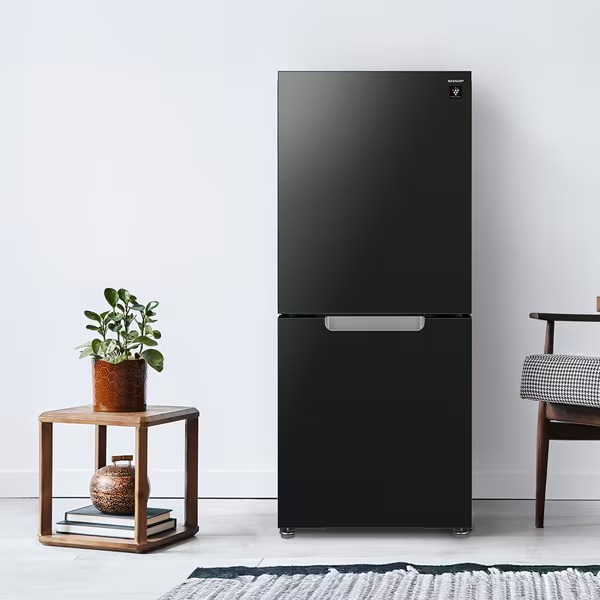 SHARP（シャープ） [予約 約2-3週間以降]冷蔵庫 SHARP 152L 幅49.5cm