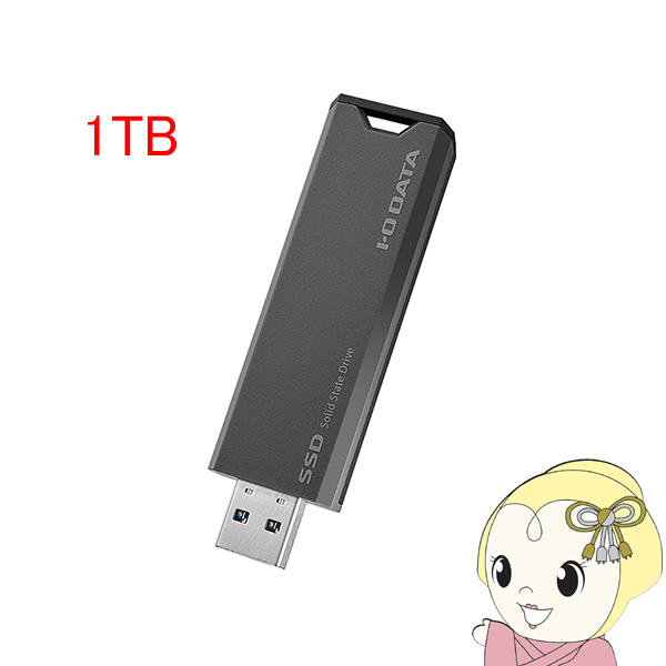 スティックSSD USB 10Gbps（USB 3.2 Gen2）対応 1TB アイ・オー・データ機器 SSPS-US1GR｜gion