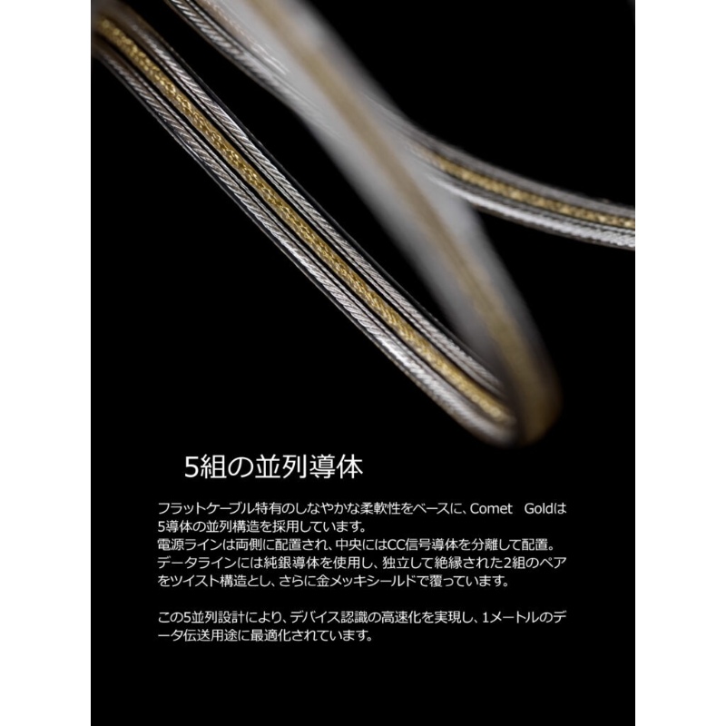 ddHiFi ddHiFi Gold シリーズ USB C to C OTGケーブル TC19CC Gold