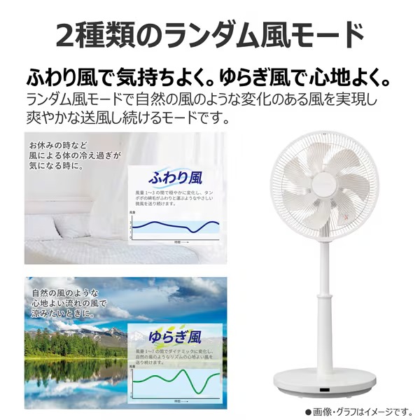 TOSHIBA（東芝） リビング扇風機 DCモーター搭載 TF-30DL29-W ホワイト