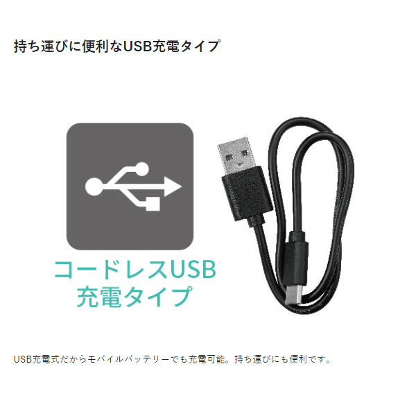 USB充電式フェイスシェーバー テスコム TESCOM TK352B-W｜gion｜06