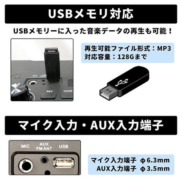 CICONIA ポータブルスピーカー TY-1900 ワイヤレスマイク2本 リモコン