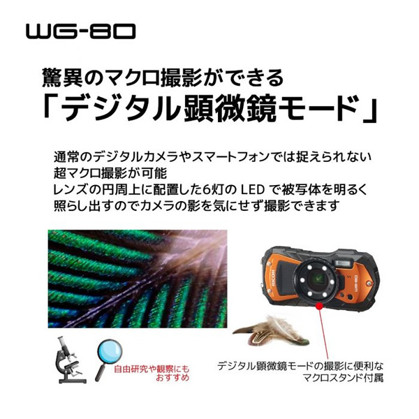 リコー  コンパクトデジタルカメラ RICOH WG-80 [ブラック] 小型軽量・耐落下衝撃性能・防水性能（IPX8、JIS保護等級8相当）｜gion｜05