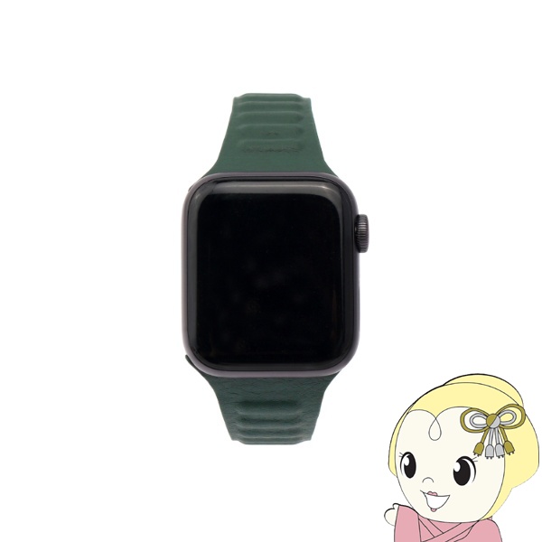 WEARPLANET Apple Watch 41 40 38mm用Slim Line マグネットリンクバンド Hooker's Green WP23201AWGR フッカーズグリーン