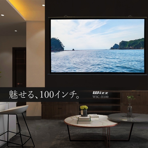ダイニチ電子 壁掛けスクリーン プロジェクタースクリーン 100インチ