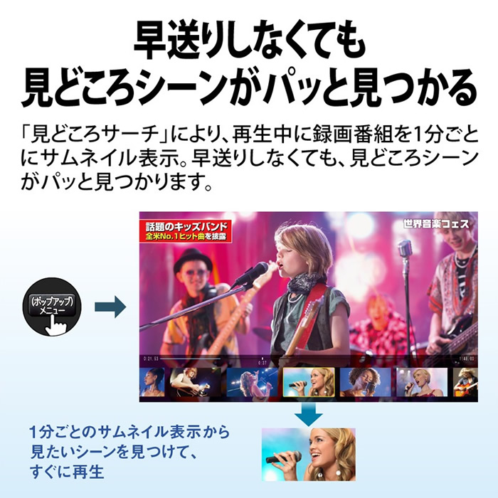 SHARP（シャープ） ブルーレイレコーダー 2番組同時録画 AQUOS