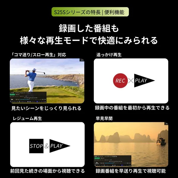 テレビ TVS REGZA 32インチ レグザ フルハイビジョン液晶テレビ 32V型 地デジビューティ搭載 32S25S/srmの画像