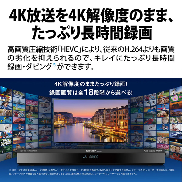ブルーレイディスクレコーダー SHARP シャープ AQUOS アクオス 4TB 4Kチューナー内蔵 4Kレコーダー 4B-GT3シリーズ 4B-C40GT3/srm_1