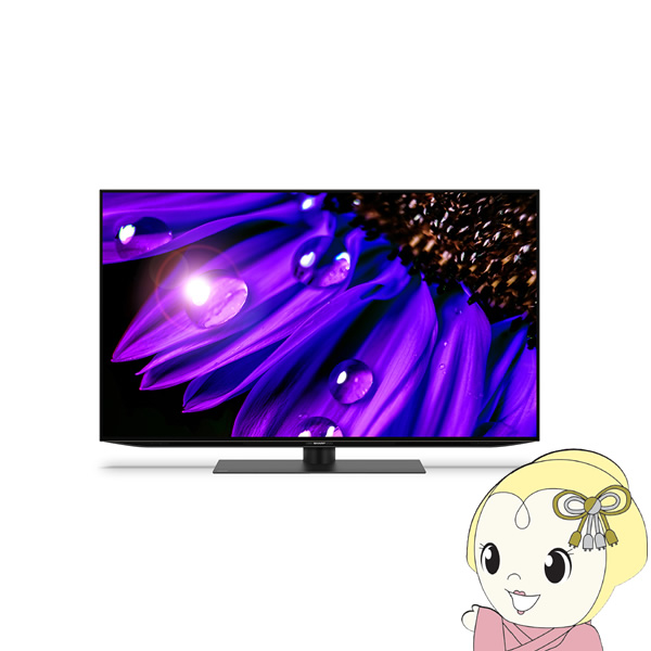 限定モデル 男性に人気 予約 シャープ 4K有機ELテレビ 4T-C48EQ2 srm rainbow-flower.sakura.ne.jp rainbow-flower.sakura.ne.jp