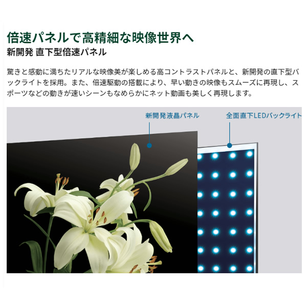 [予約]東芝 4Kチューナー内蔵 LED液晶テレビ 65Z570L｜gioncard｜08