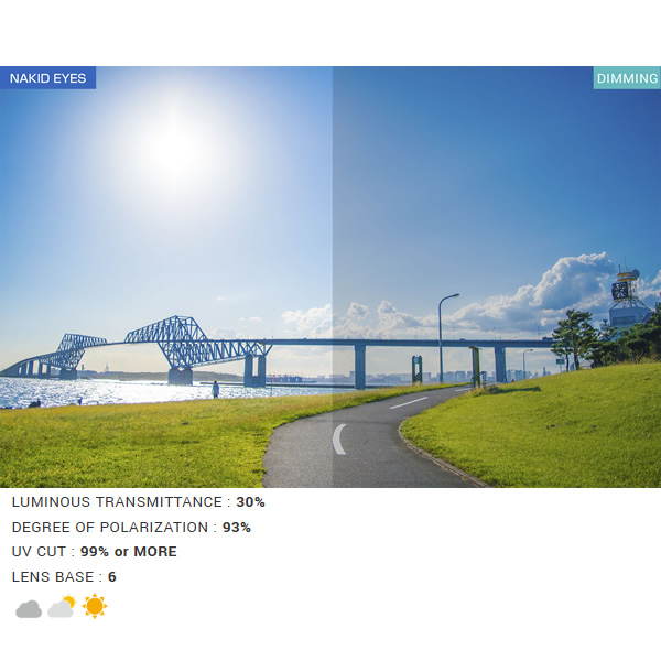 AirFly - 黒眼鏡 大気圏飛球 運動競技 駈けっくら 広広とした守る レディース クリアグレーフレーム 偏光薄墨色水晶体 AF-302C-1WP/srm