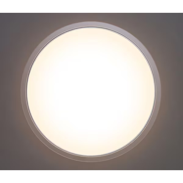 LEDシーリングライト アイリスオーヤマ 12畳 調光 クリアフレーム CEA12D-50QCF/srm｜gioncard｜03