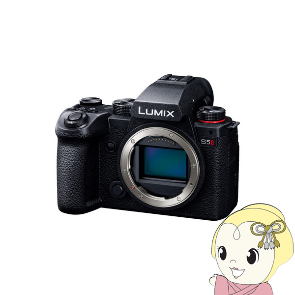 デジタル一眼カメラ Panasonic パナソニック LUMIX DC-S5M2 ボディ DC-S5M2/srm｜gioncard