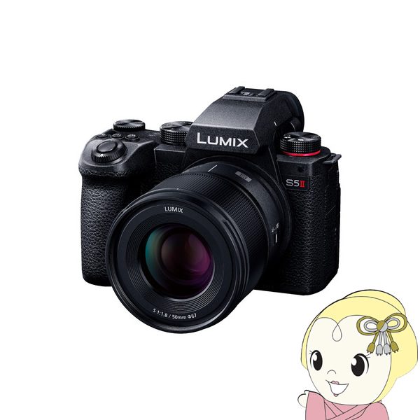 Panasonic（パナソニック） デジタル一眼カメラ LUMIX DC-S5M2W ダブル
