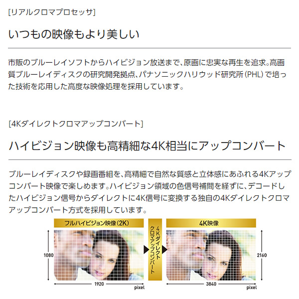 DIGA ブルーレイレコーダー 2番組同時録画 パナソニック Panasonic 1TB