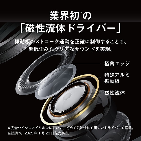 テクニクス Technics ワイヤレスイヤホン 磁性流体ドライバー搭載 ブラック EAH-AZ100-K/srm | Technics | 02