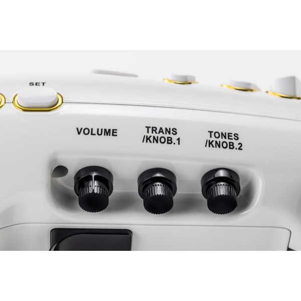 電子サックス Elesa エレサ ホワイト TAHORNG デジタルサックス ELS10WH/srm |  | 03