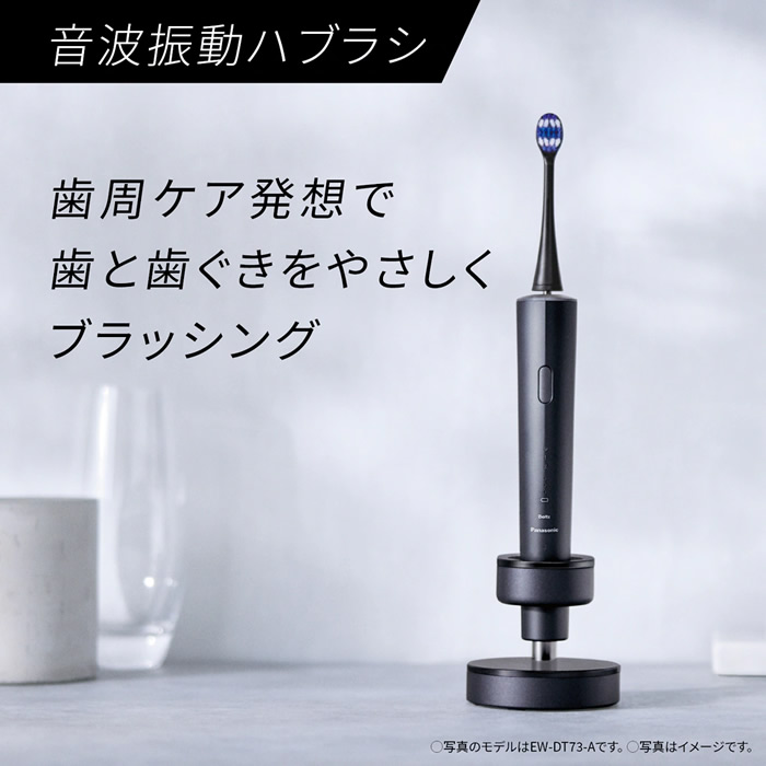 ドルツ 電動歯ブラシ 歯ブラシ パナソニック 音波振動ハブラシ Doltz