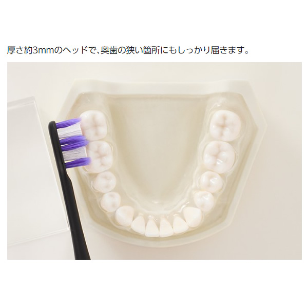電動歯ブラシ パナソニック 音波振動ハブラシ　ドルツ シルバー EW-DP57-S/srm | Panasonic | 08