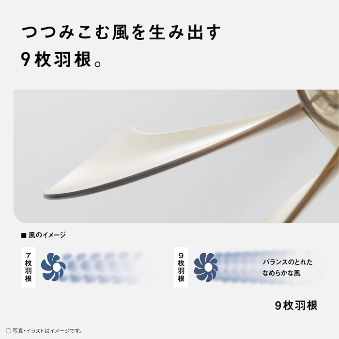 扇風機 Panasonic パナソニック リビング扇 DCモーター搭載 ホワイト F-C339C-W/srm | Panasonic | 03