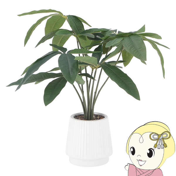 観葉植物 フェイクグリーン パキラ おしゃれ セラミックポット | 不二貿易