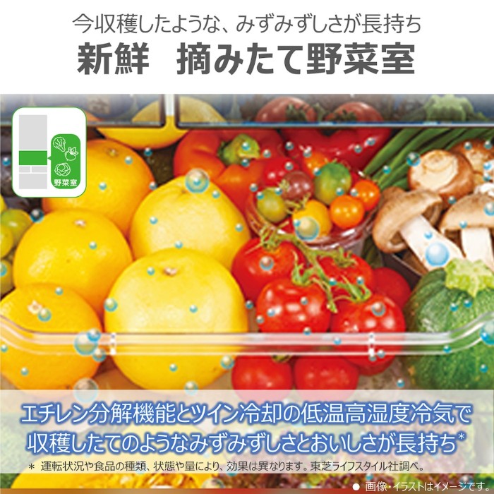 東芝冷蔵庫509（冷蔵庫）｜冷蔵庫、冷凍庫｜キッチン家電 | 家電 の