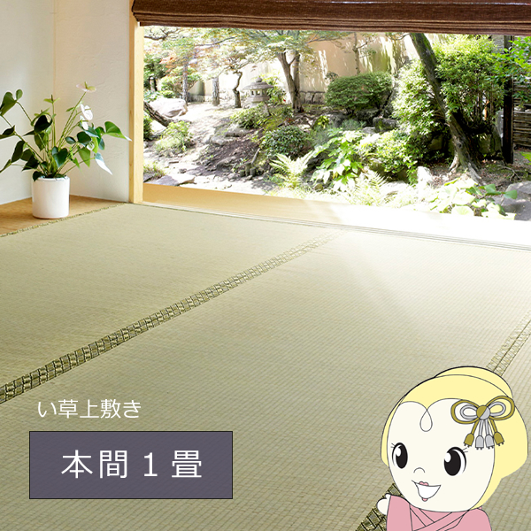 HAGiHARA（萩原） い草 上敷き カーペット グリーン 本間1畳 95.5