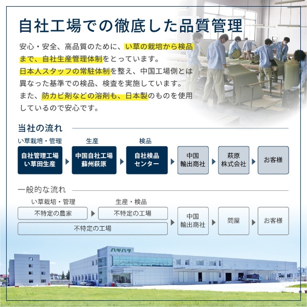 萩原 い草 上敷き カーペット グリーン 本間10畳 382×477cm 双目織 撥水加工 備前 /srm｜gioncard｜09