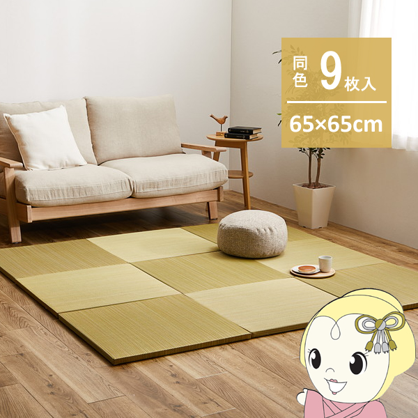 jbg F9Zbg 65×65cm u  Jt y э CG[/srm