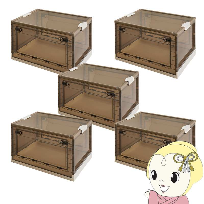 TEIJIN　カラッと収納ケースプレミアム　大2個　小1個　F−319 TEIJIN カラッと収納ケースプレミアム 大2個 小1個 F−319の通販はau