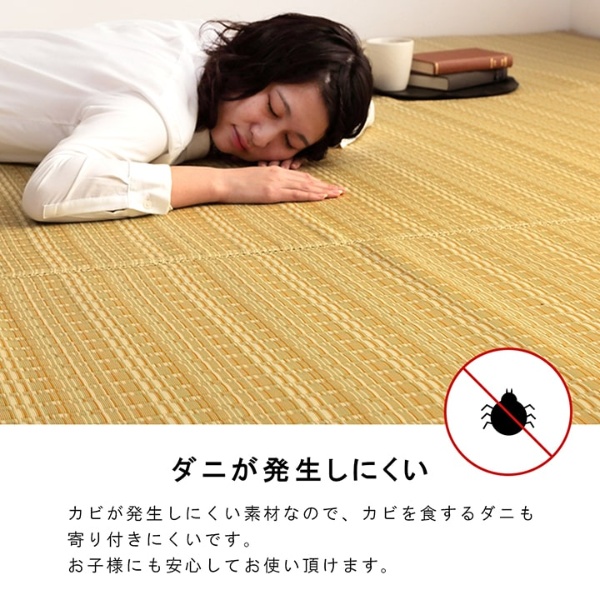 洗える カーペット ダイニング ラグ 敷詰 丈夫 日本製 国産 除菌スプレー対応 ござ アウトドア ペット ブラウン 江戸間3畳 約174×261cm/srm | イケヒコ | 05