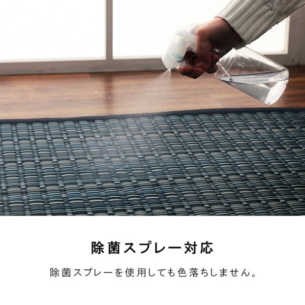 洗える カーペット ダイニング ラグ 敷詰 丈夫 日本製 国産 除菌スプレー対応 ござ アウトドア ペット ブラウン 江戸間3畳 約174×261cm/srm | イケヒコ | 06