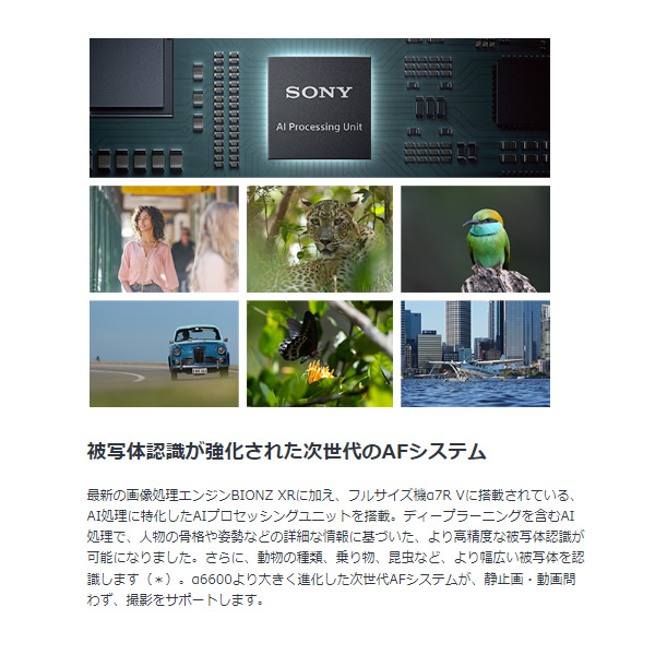 デジタル一眼カメラ ソニー α6700 ILCE-6700M 高倍率ズームレンズキット [ブラック] ILCE-6700M/srmの画像