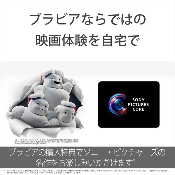 有機ELテレビ 【設置込】 ソニー 65インチ...の詳細画像4