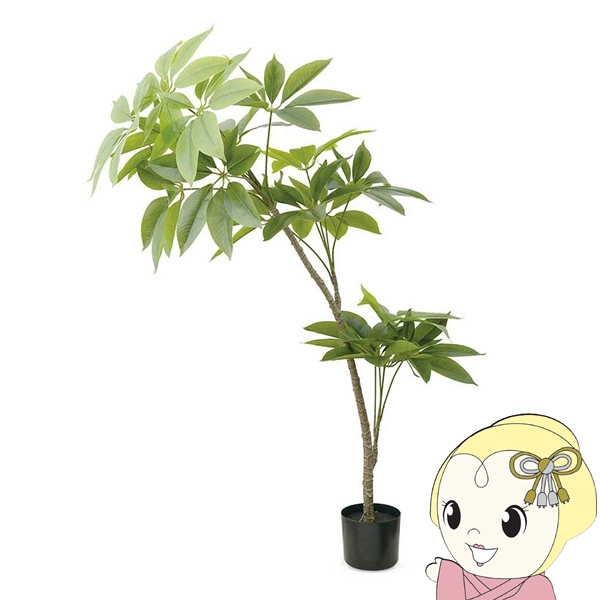 観葉植物 大型 フェイクグリーン 組立式 CT触媒 アーティフィシャルグリーン パキラ キシマ KH-61393/srm