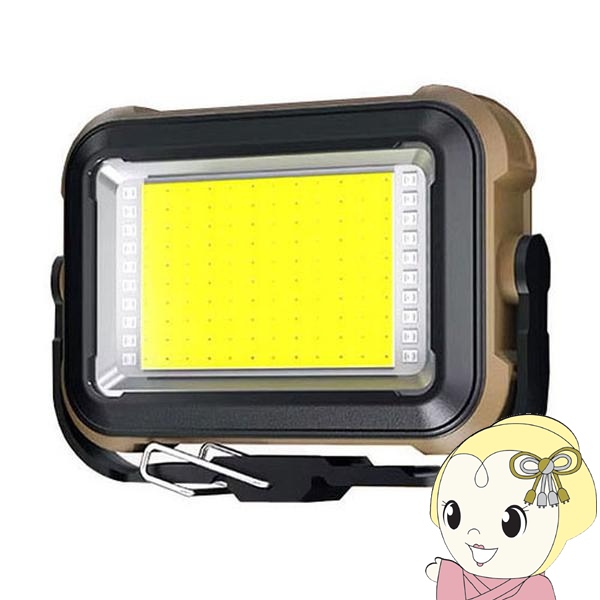 LPL LED���C�g VL-GZ38 L26624 �Ɩ��@�� �B�e�p���C�g /srm